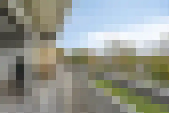 Aalscholversingel 462 Velp thumbnail 12