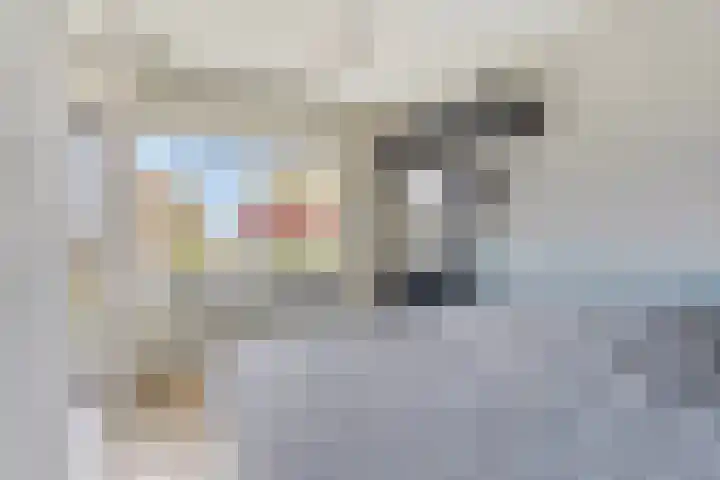 Aalscholversingel 462 Velp thumbnail 14
