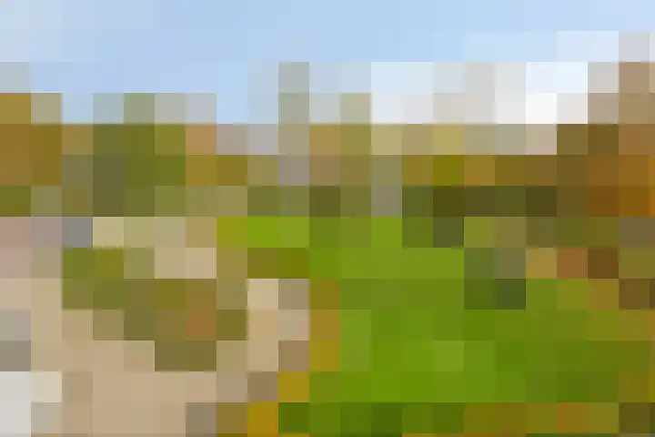 Aalscholversingel 462 Velp thumbnail 20