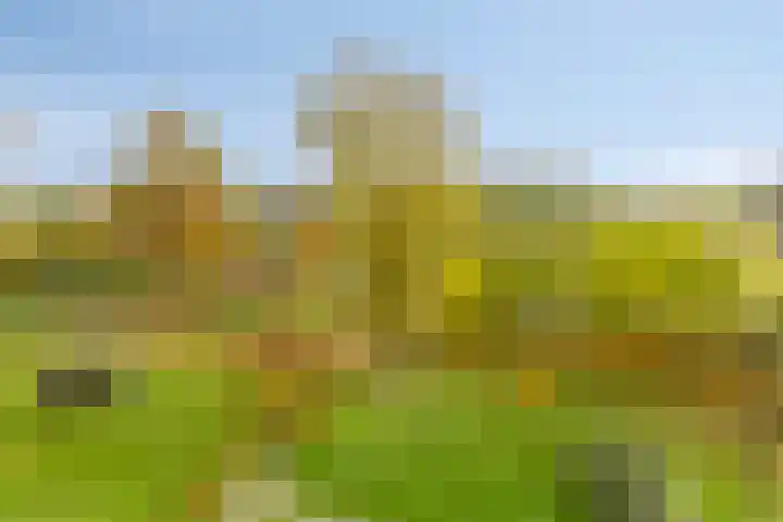 Aalscholversingel 462 Velp thumbnail 21