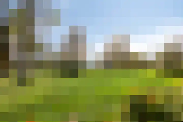 Aalscholversingel 462 Velp thumbnail 22