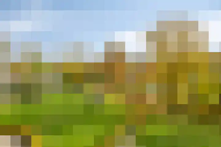 Aalscholversingel 462 Velp thumbnail 23