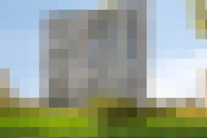 Aalscholversingel 462 Velp thumbnail 26