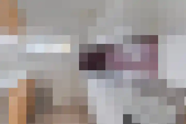 Aalscholversingel 462 Velp thumbnail 4