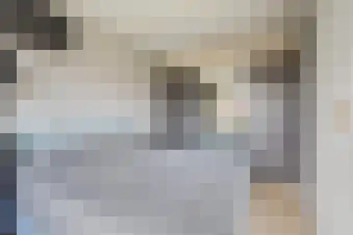 Aalscholversingel 462 Velp thumbnail 6