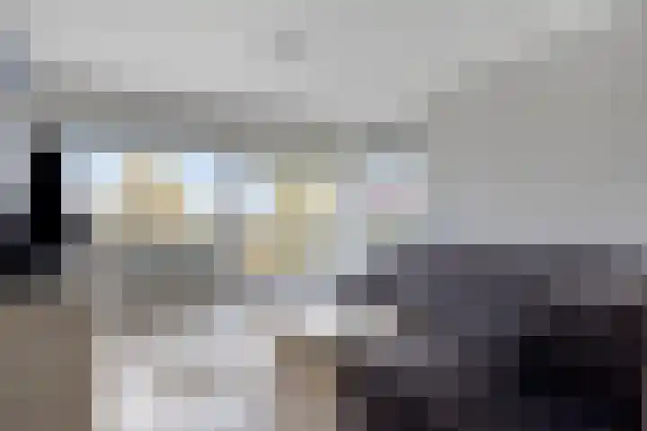 Aalscholversingel 462 Velp thumbnail 7