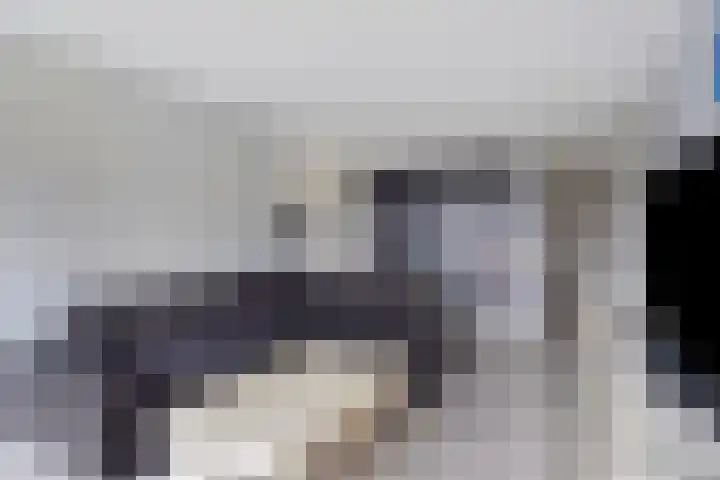Aalscholversingel 462 Velp thumbnail 8