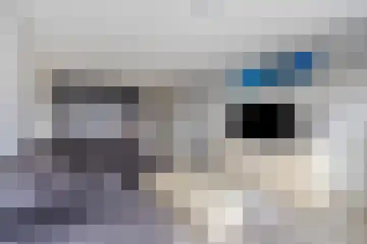 Aalscholversingel 462 Velp thumbnail 9