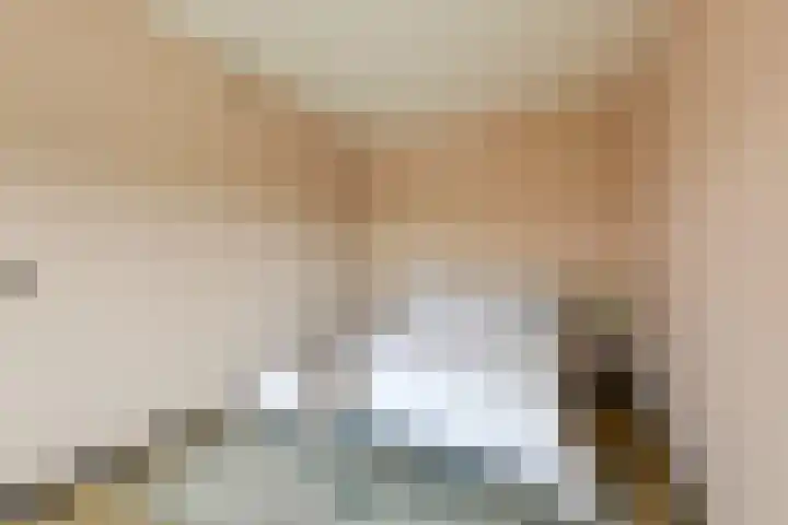 Aalscholversingel 490 Velp thumbnail 14