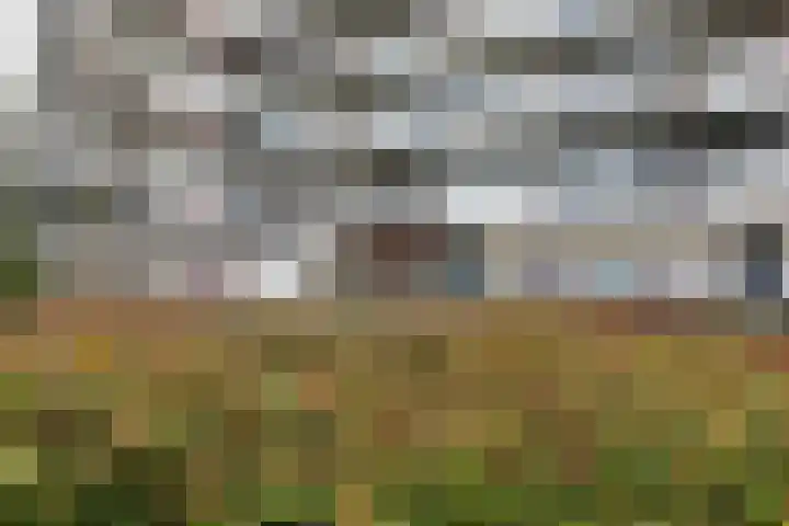 Aalscholversingel 490 Velp thumbnail 21