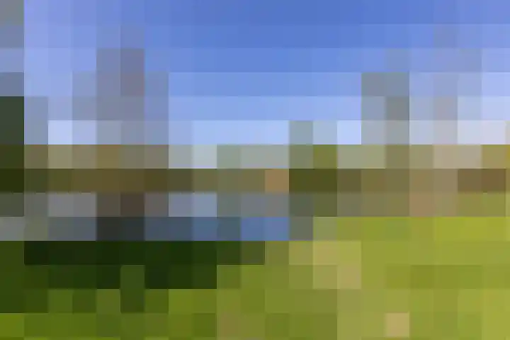 Aalscholversingel 490 Velp thumbnail 23