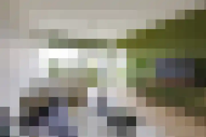 Aalscholversingel 490 Velp thumbnail 6