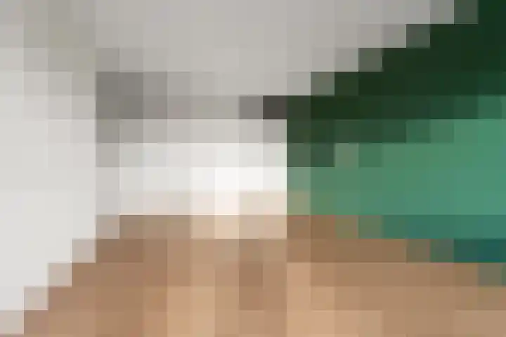 Aalscholversingel 498 Velp thumbnail 10