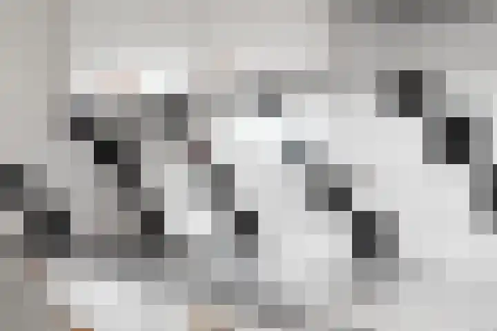 Aalscholversingel 498 Velp thumbnail 13