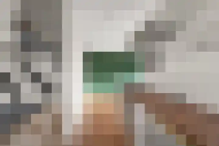 Aalscholversingel 498 Velp thumbnail 15