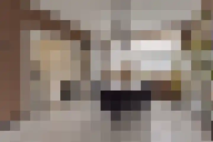 Aalscholversingel 498 Velp thumbnail 17
