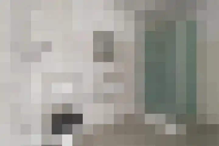 Aalscholversingel 498 Velp thumbnail 18