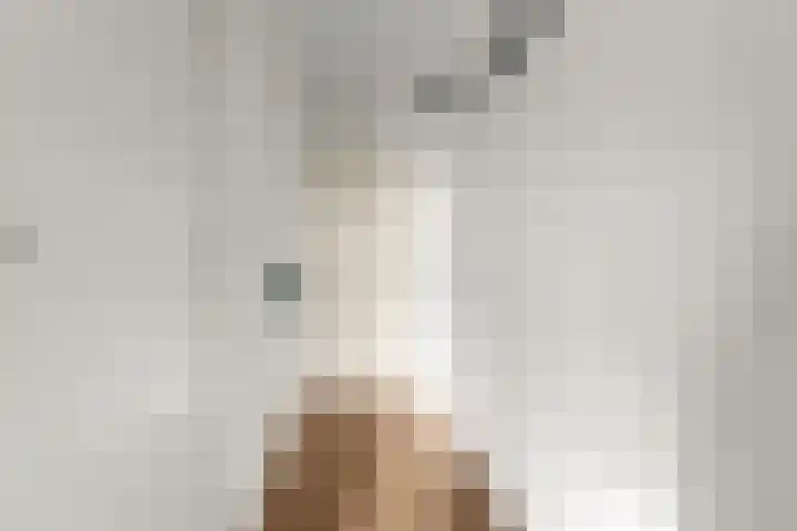 Aalscholversingel 498 Velp thumbnail 20