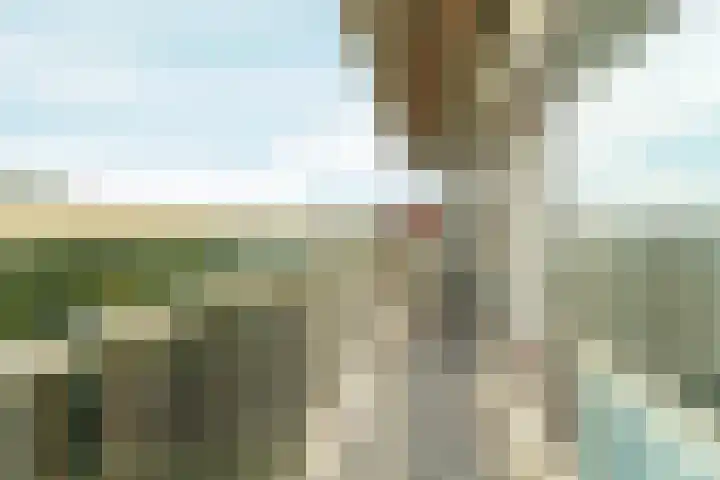 Aalscholversingel 498 Velp thumbnail 6