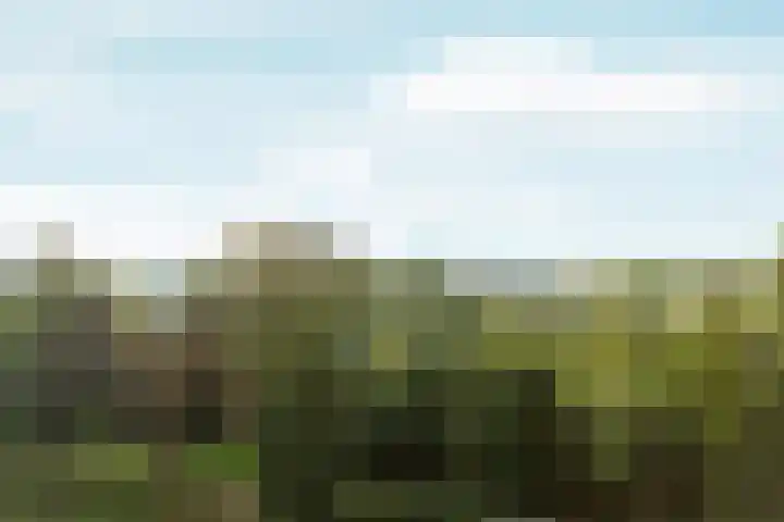 Aalscholversingel 498 Velp thumbnail 9