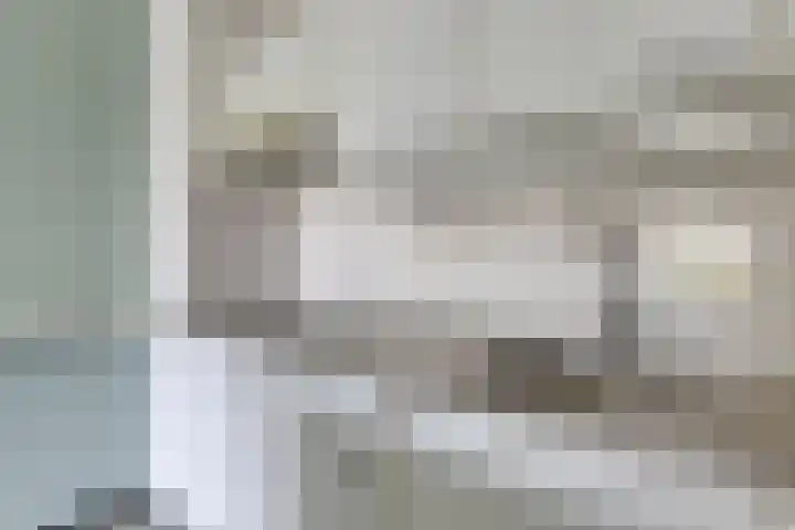 Aalscholversingel 50 Velp thumbnail 18