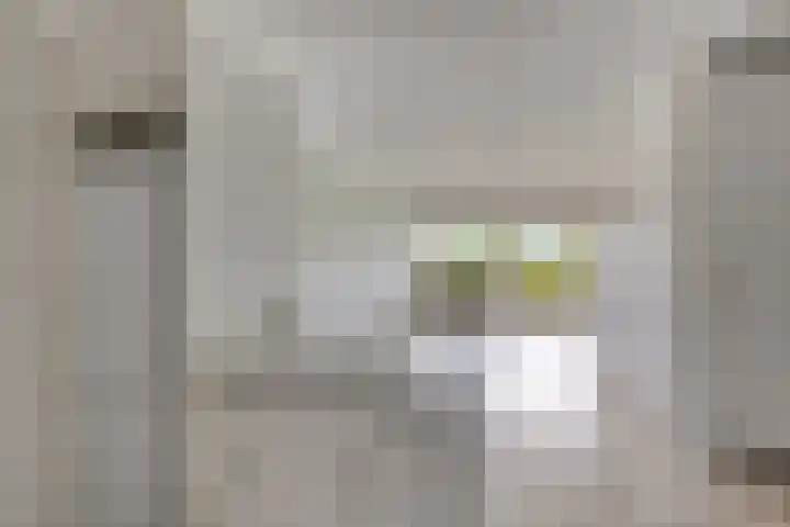 Aalscholversingel 50 Velp thumbnail 19