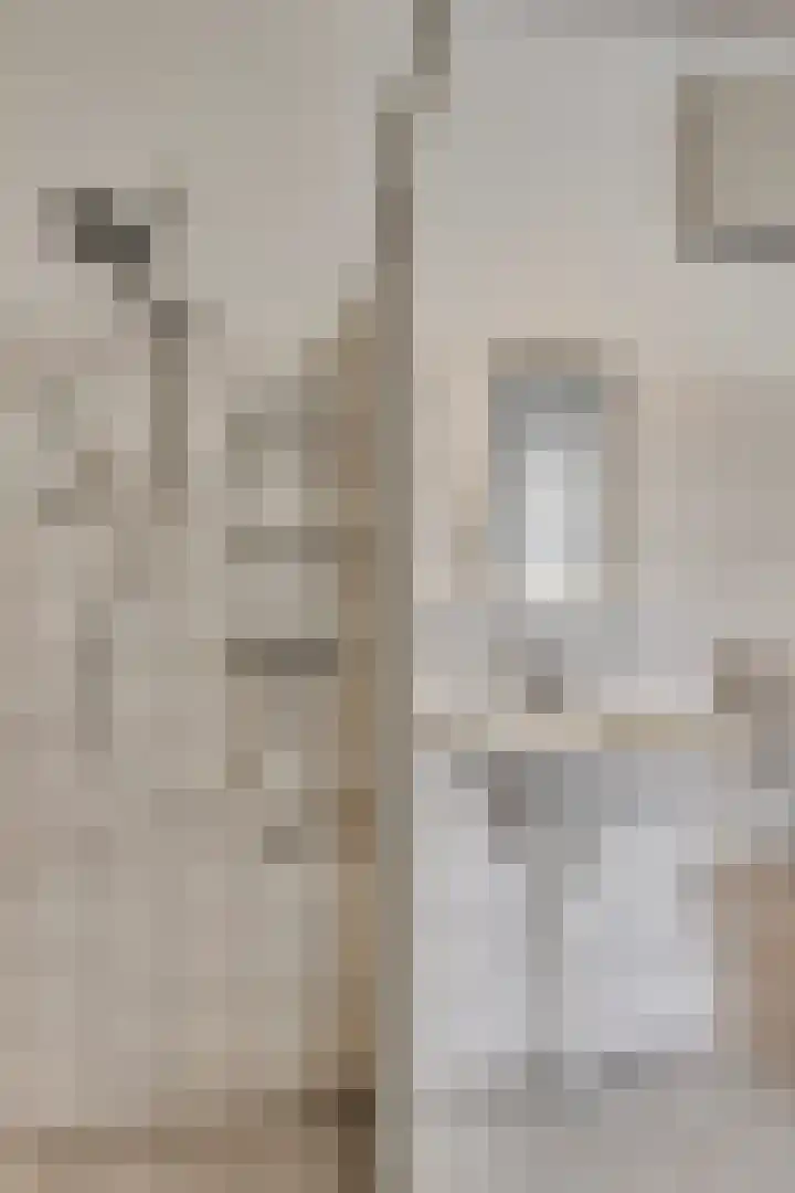 Aalscholversingel 50 Velp thumbnail 24