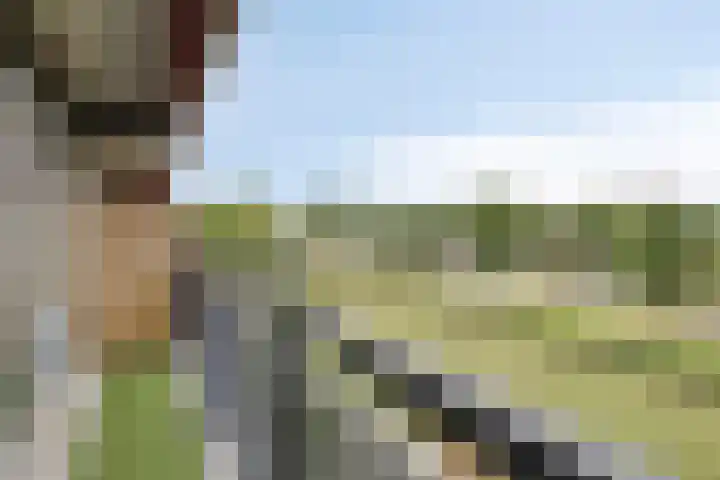 Aalscholversingel 50 Velp thumbnail 25