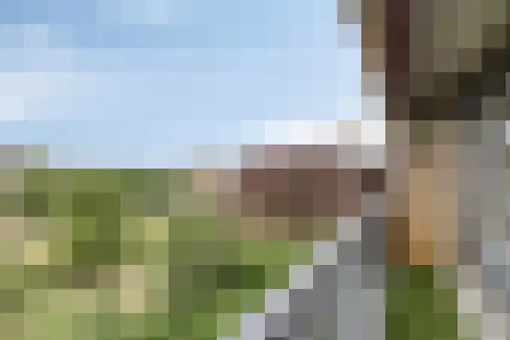 Aalscholversingel 50 Velp thumbnail 26