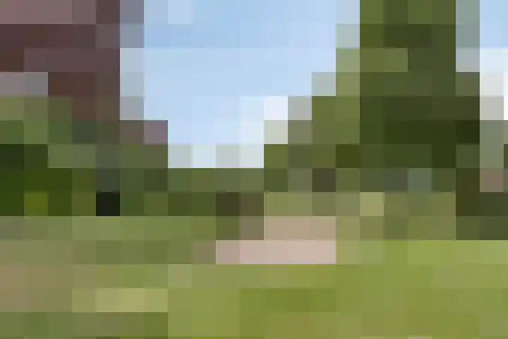 Aalscholversingel 50 Velp thumbnail 27