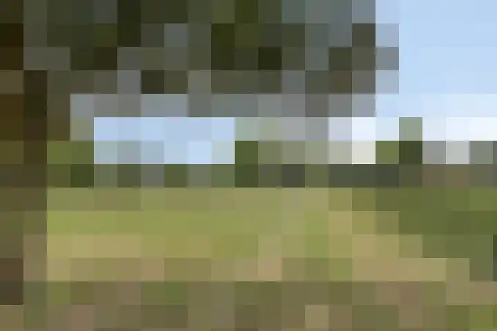 Aalscholversingel 50 Velp thumbnail 28