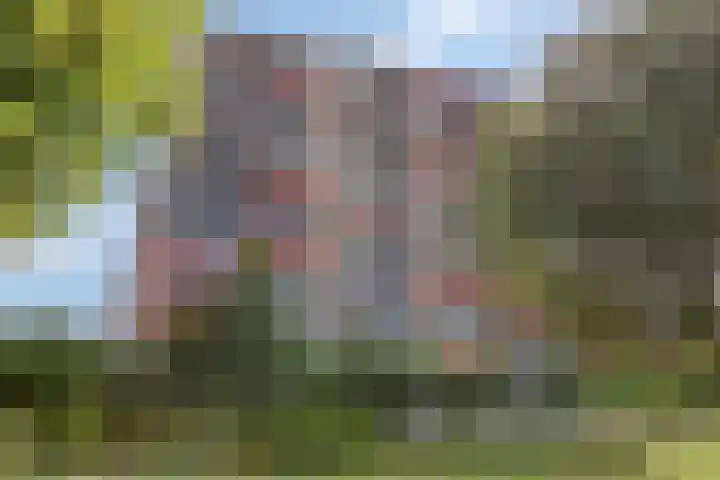 Aalscholversingel 50 Velp thumbnail 30