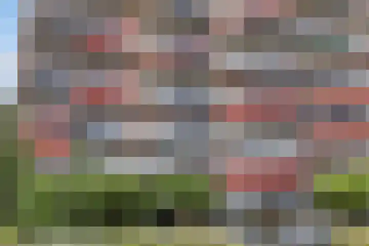 Aalscholversingel 50 Velp thumbnail 31