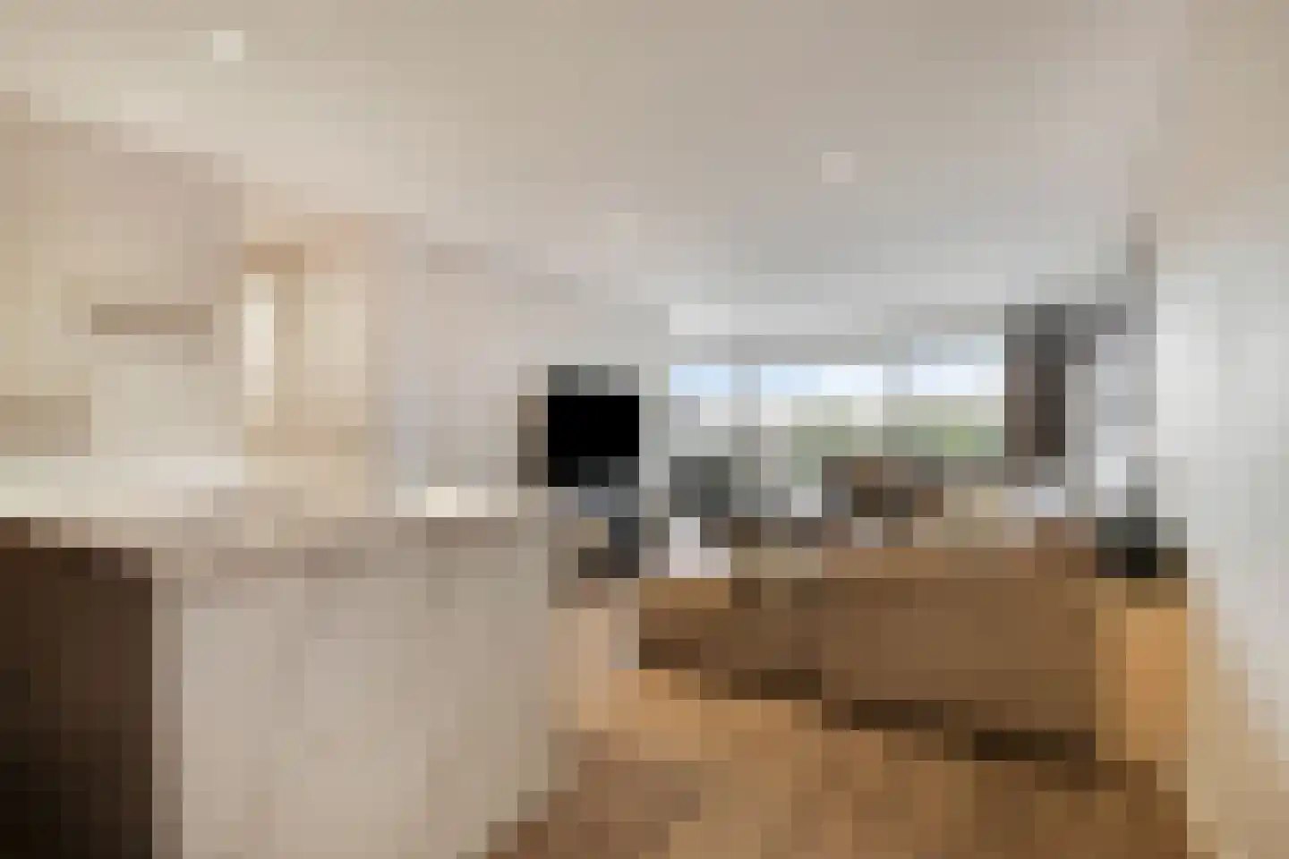 Aalscholversingel 500 Velp thumbnail 10