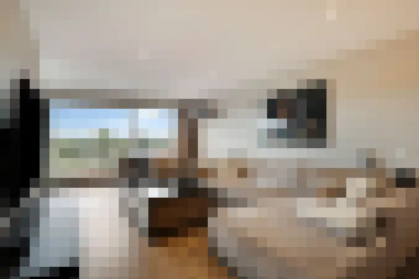 Aalscholversingel 500 Velp thumbnail 12