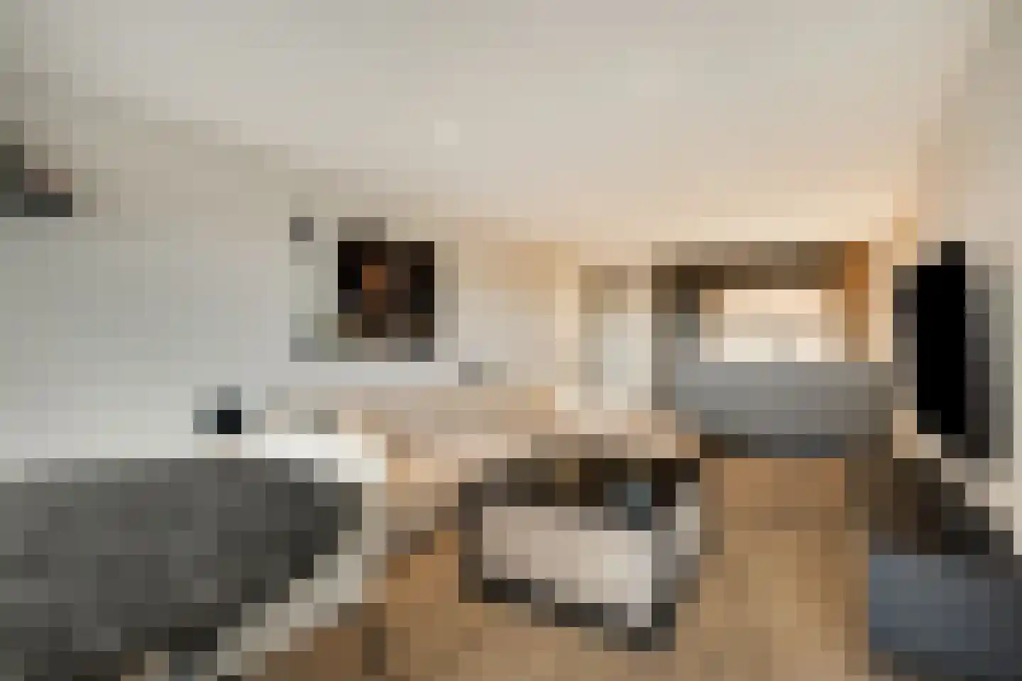 Aalscholversingel 500 Velp thumbnail 13