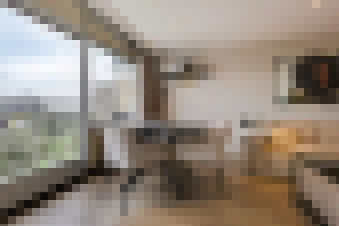Aalscholversingel 500 Velp thumbnail 14