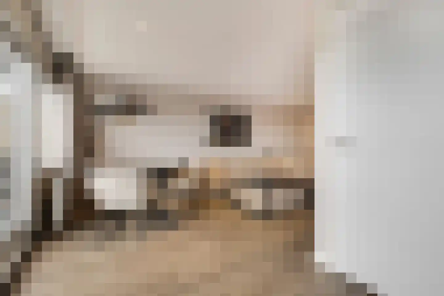 Aalscholversingel 500 Velp thumbnail 15