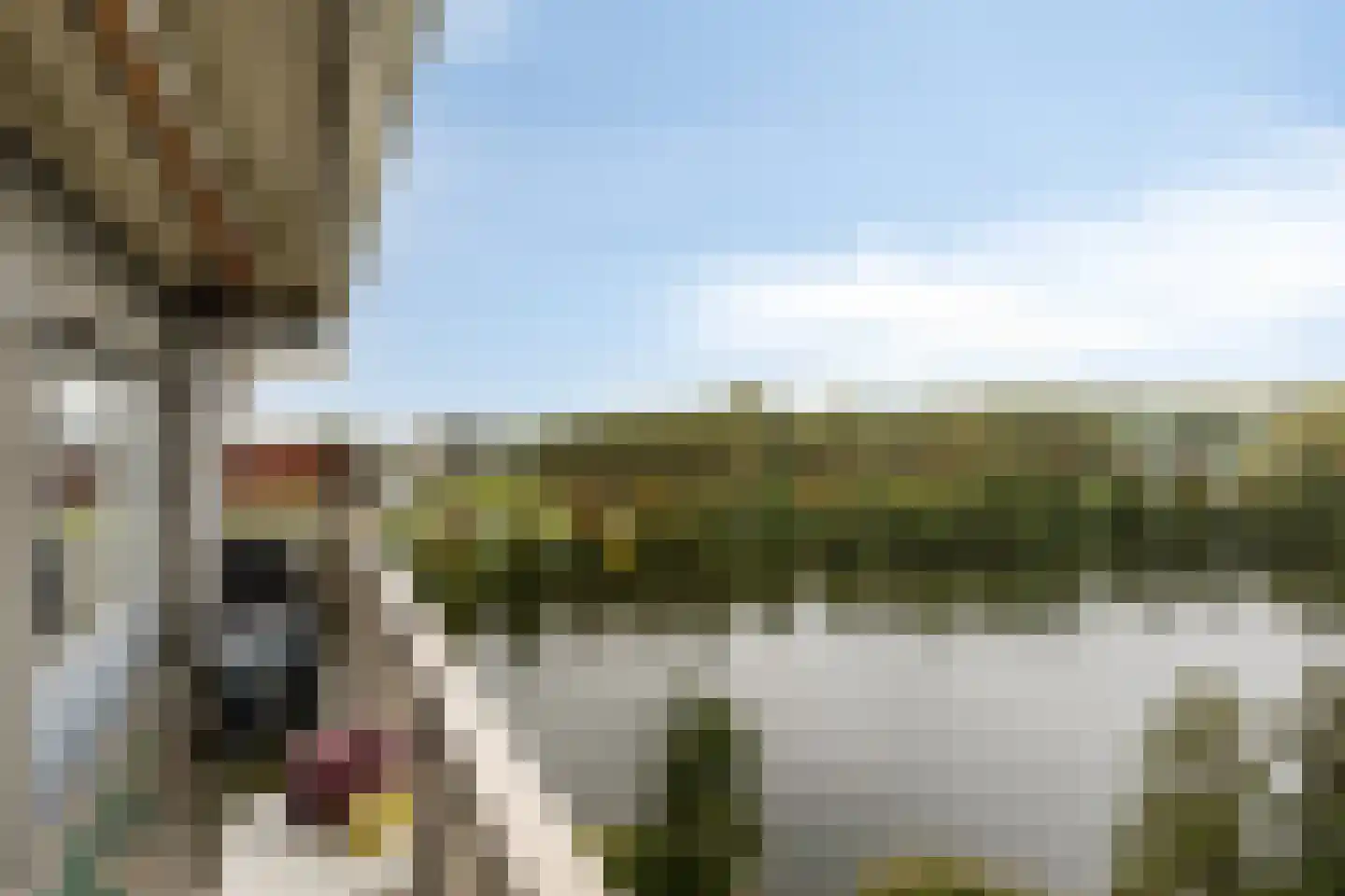 Aalscholversingel 500 Velp thumbnail 17