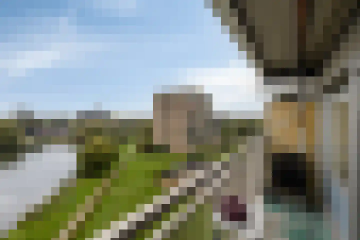 Aalscholversingel 500 Velp thumbnail 19