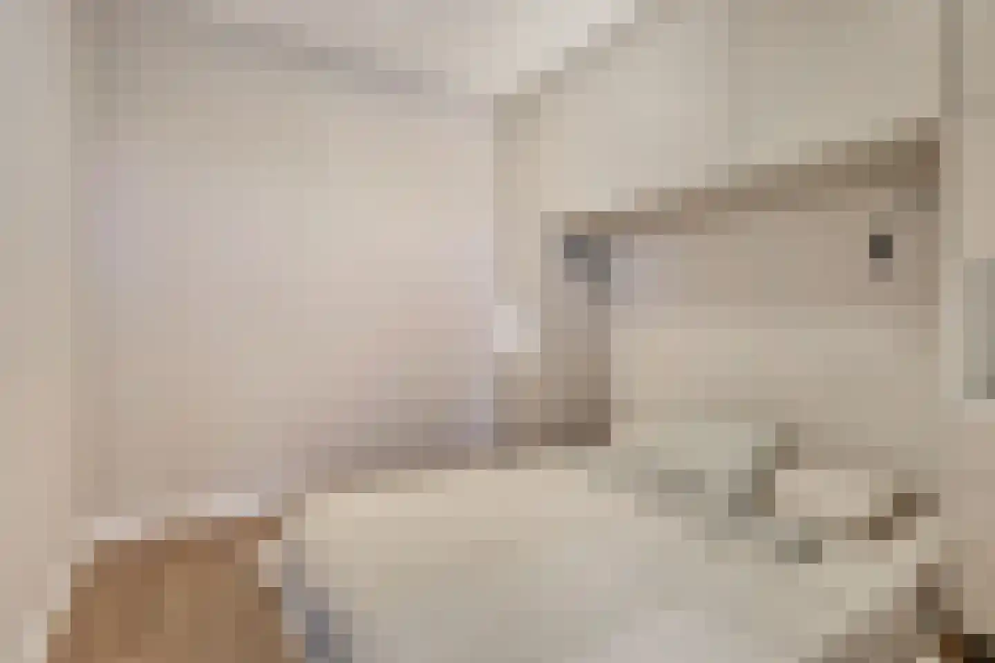 Aalscholversingel 500 Velp thumbnail 24
