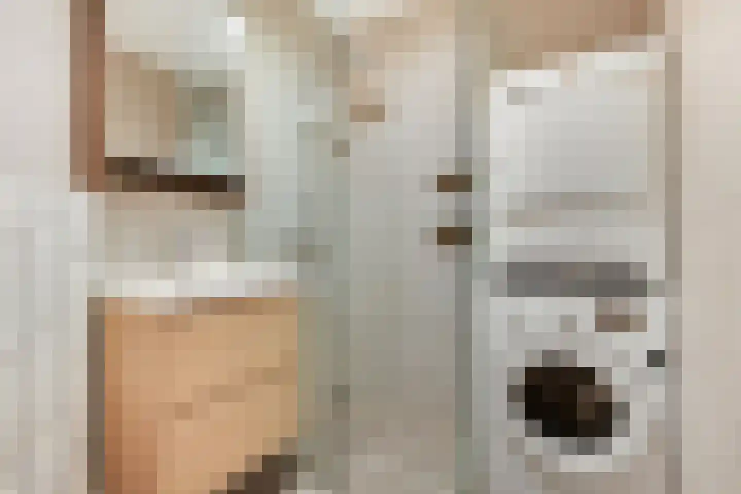 Aalscholversingel 500 Velp thumbnail 27