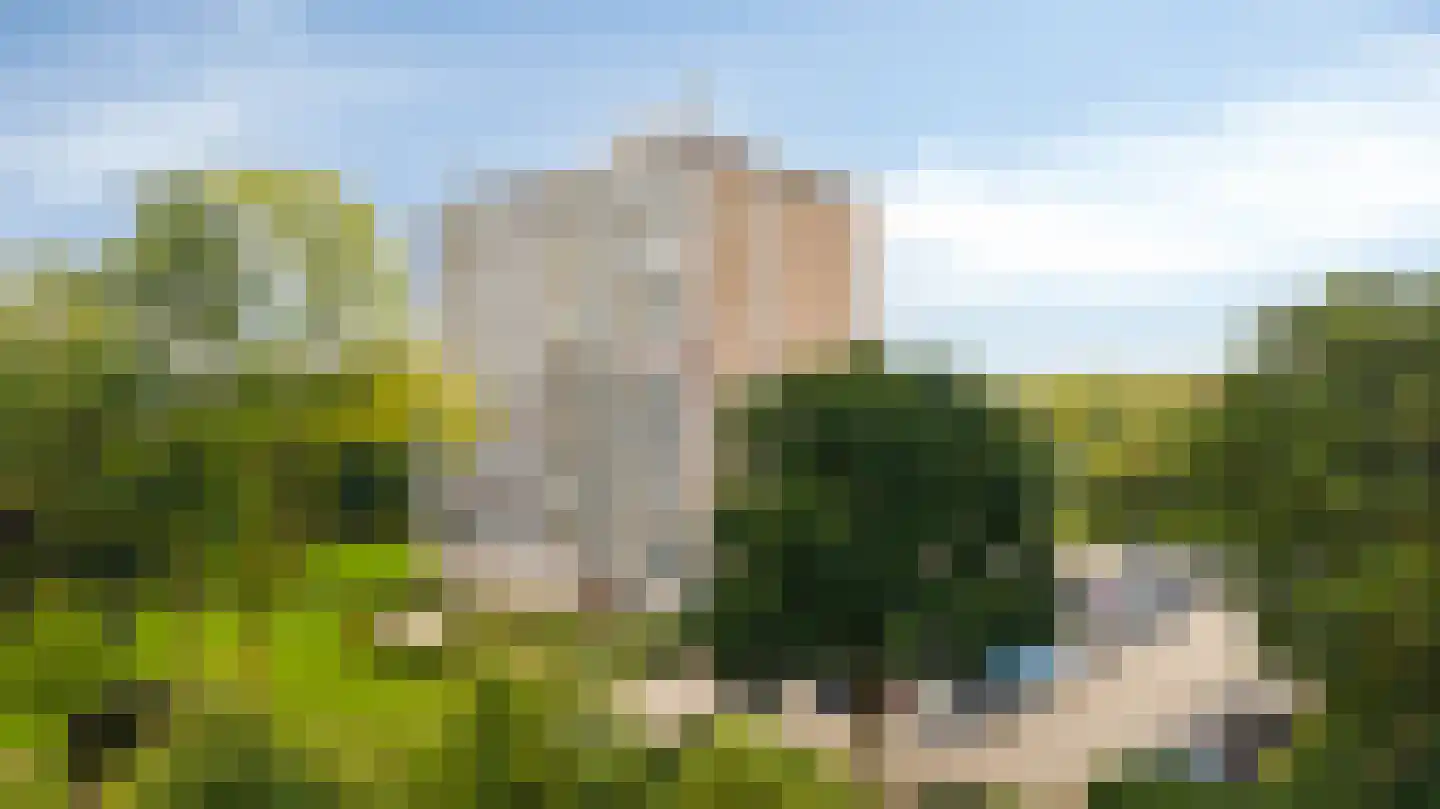 Aalscholversingel 500 Velp thumbnail 30