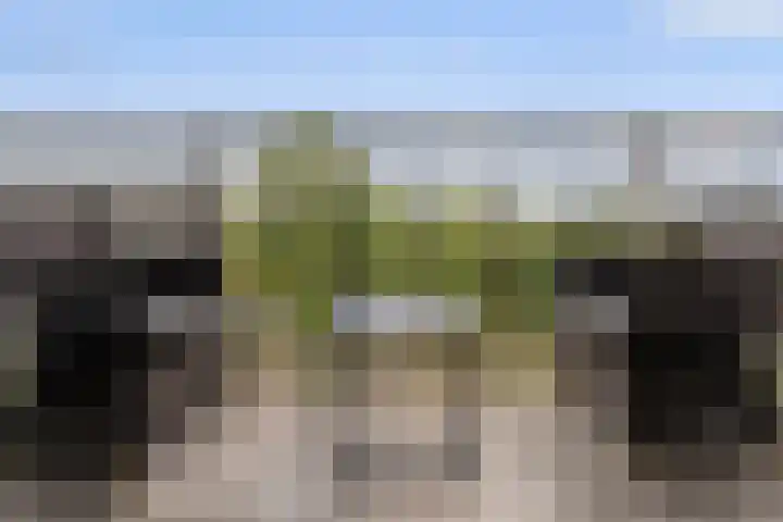 Aalscholversingel 510 Velp thumbnail 13