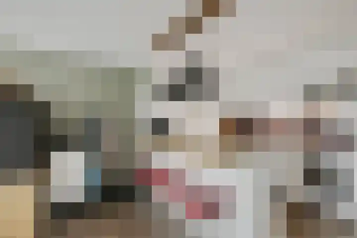 Aalscholversingel 510 Velp thumbnail 16