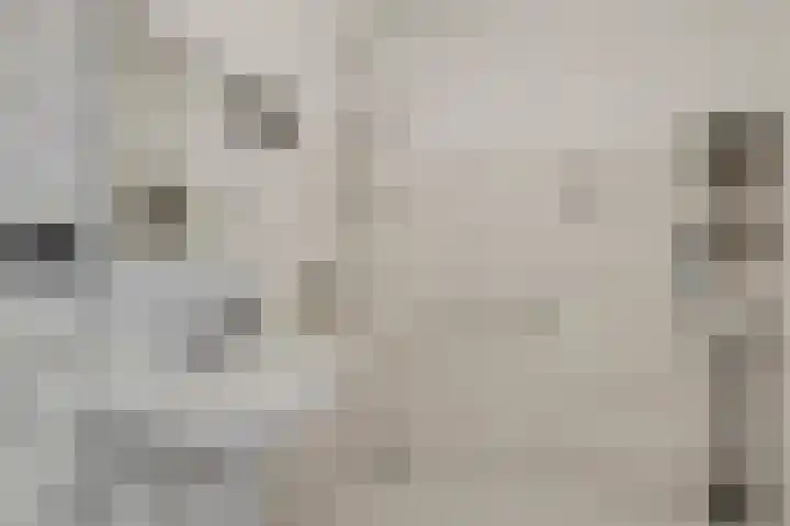Aalscholversingel 510 Velp thumbnail 24