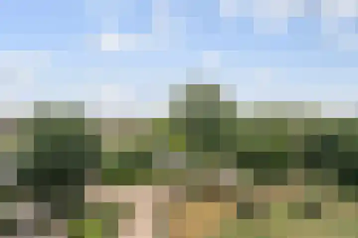 Aalscholversingel 510 Velp thumbnail 25