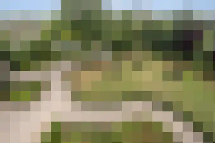 Aalscholversingel 510 Velp thumbnail 26