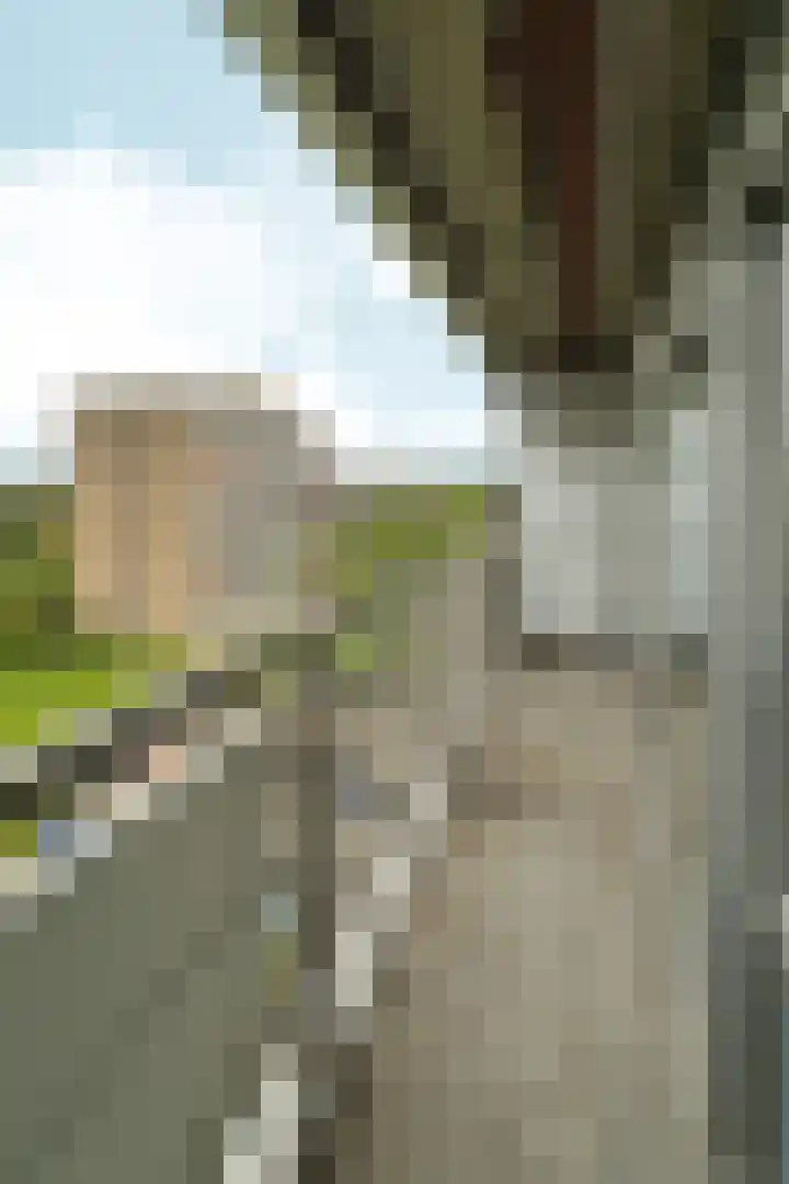 Aalscholversingel 522 Velp thumbnail 10