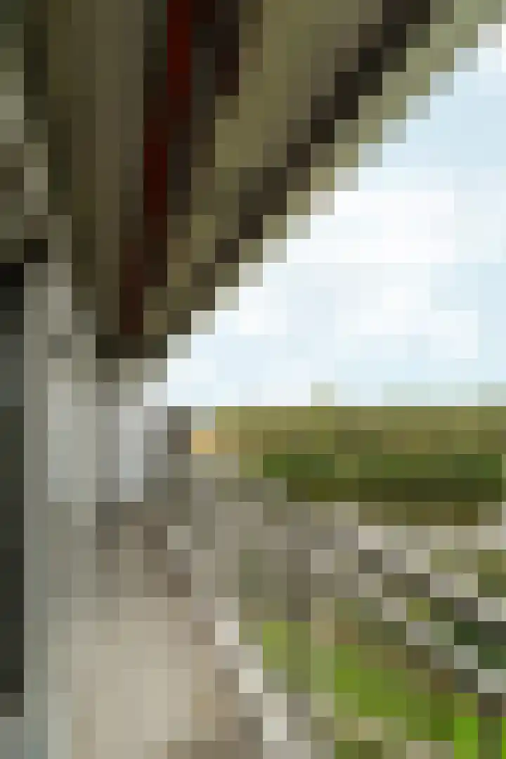 Aalscholversingel 522 Velp thumbnail 11